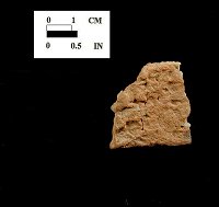 Accokeek Body sherd (exterior) from the Bathhouse site 18AN37.